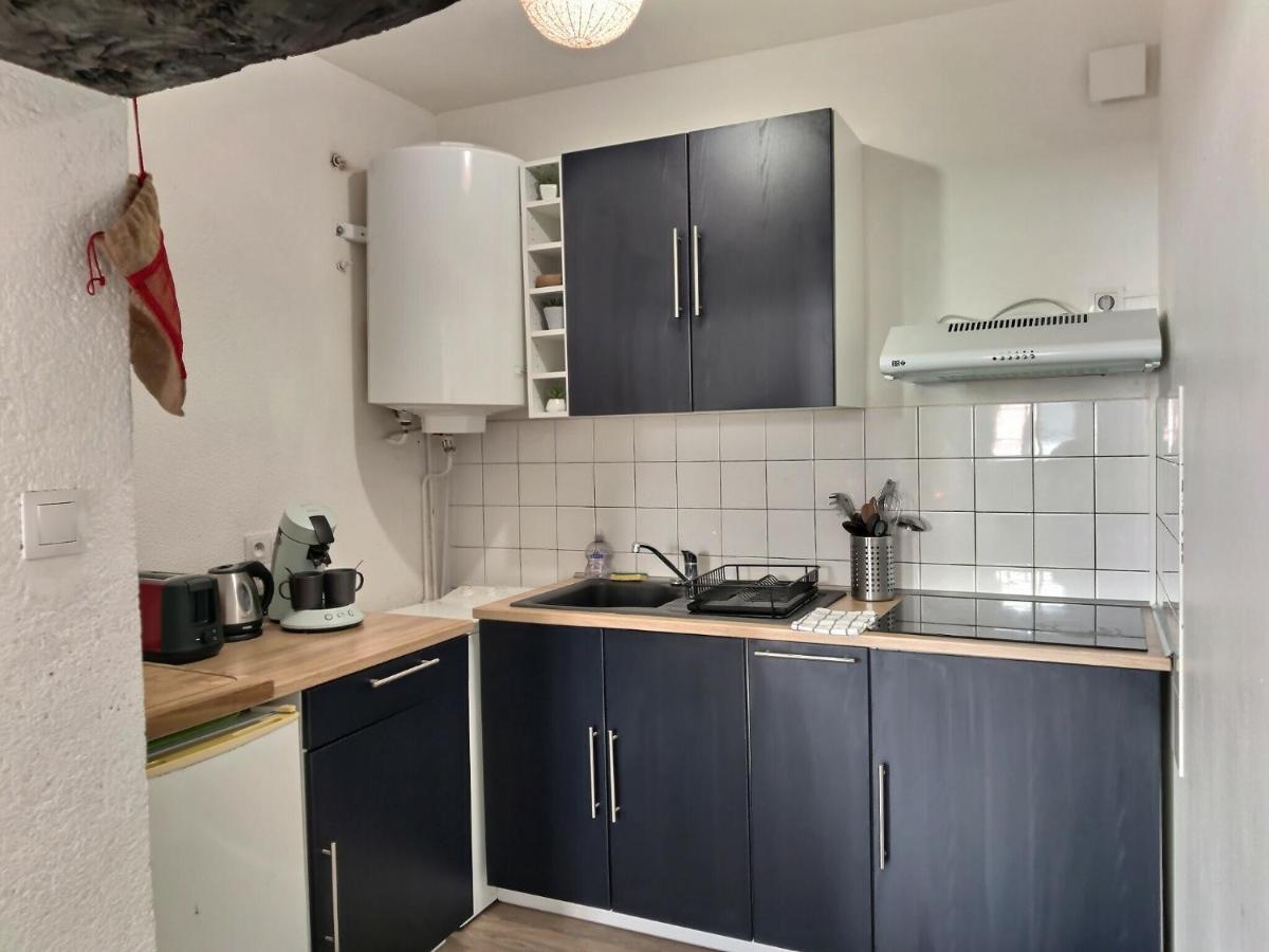 Les Vents De Boheme - Spacieux - Centre Ville Albi Eksteriør bilde
